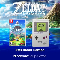 Game The Legend Of Zelda Link s Awakening Steelbook Edition - Nintendo Switch
